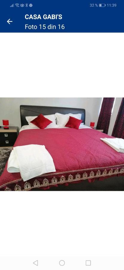Hotel Casa Gabi'S à Orşova Extérieur photo